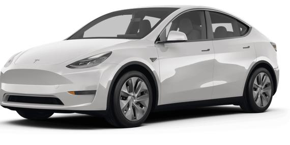 TESLA MODEL Y 2024 7SAYGDEE0RA264974 image
